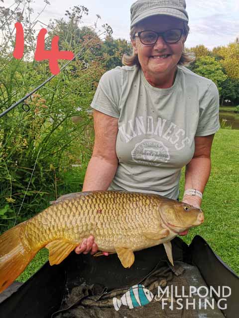 Christine's biggest fish of the week - 14lb Common Carp