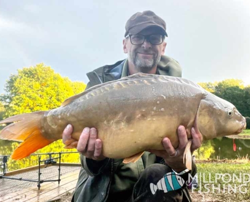 Caught by Darren - one of our new C5 Mirror Carp - weight 20lbs 10ozs - so they have put on about 3lbs in weight since they arrived. Caught using Krill Boilies and Sticky Bait pellets